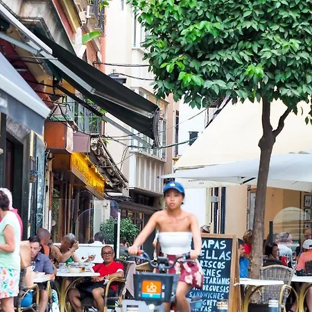 Cruz Roja C Lejlighed Sevilla