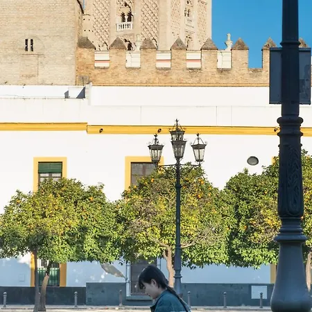 Cruz Roja C * Seville